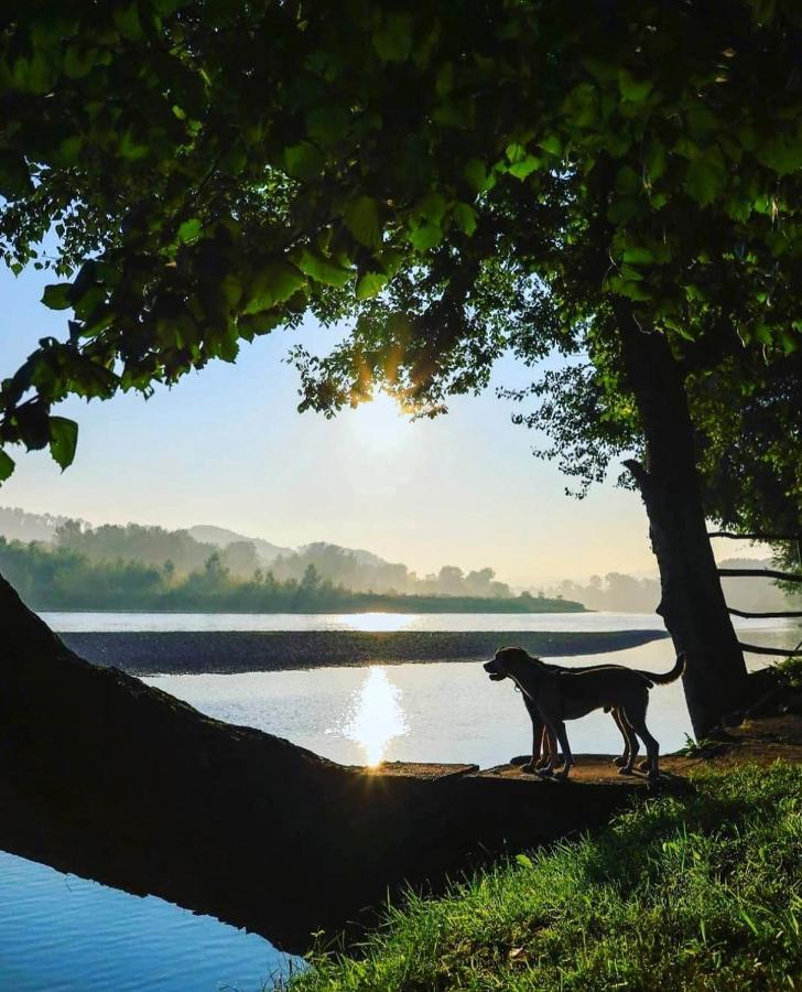 Drinska Laguna Banja Koviljača Eksteriør bilde